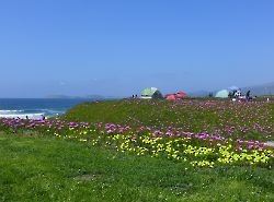 Half Moon Bay - Camp Ground