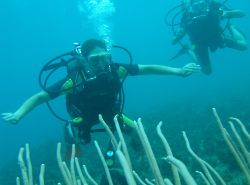Ямайка (Jamaica). Таня, Катя и подводный мир Карибского моря! Samsara Cliff Resort.