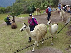 2015г. Перу и Боливия (Peru & Bolivia)