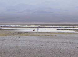 Долина Смерти (Death Valley)