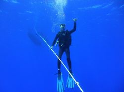 Скубадайвинг с Rainbow Scuba Hawaii