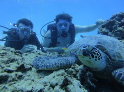 Скубадайвинг с Rainbow Scuba Hawaii