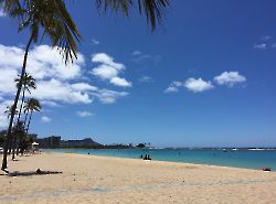 Ala Moana Park рядом с Waikiki