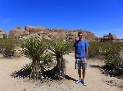 2016г. Национальный парк Joshua Tree