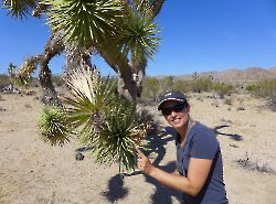 2016г. Национальный парк Joshua Tree