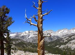 2016г. Mount Whitney