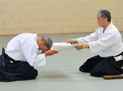 Aikido Pacific Federation. Aikikai.