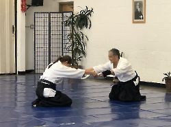 2017-2024. Awarding of the diploma. Nidan/Shodan