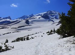 Shasta_13