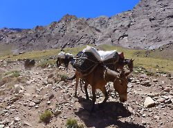 Aconcagua_20