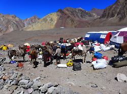 Aconcagua_50