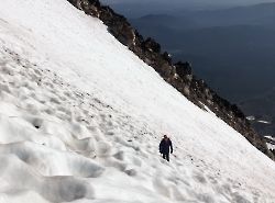 Shasta. Brewer Creek Trail.