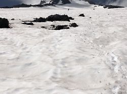 Shasta. Brewer Creek Trail.