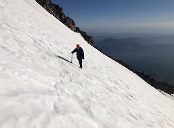 Shasta. Brewer Creek Trail.