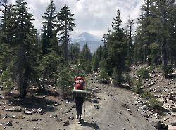 2020. Shasta. Brewer Creek.