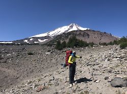 Shasta. Brewer Creek Trail.