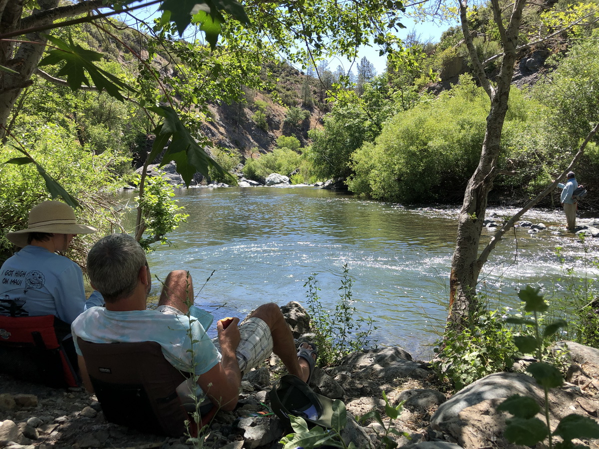 Национальный лес Мендосино (Mendocino National Forest) - 2 days in camp