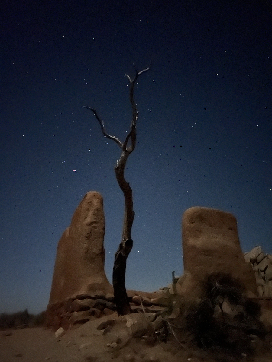 Joshua Tree National park. 