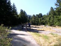 Big Basin Redwood State Park