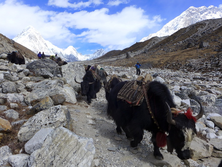 От Дзонгла (Dzongla, 4830м) к Горак Шеп/Горакшеп (Gorak shep/Gorakshep, 5164м)