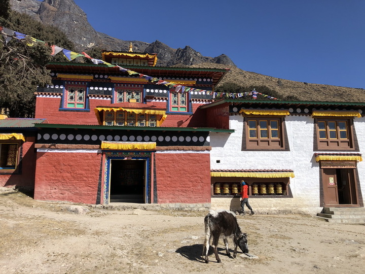 Кумджунг гомпа (Khumjung Gompa)