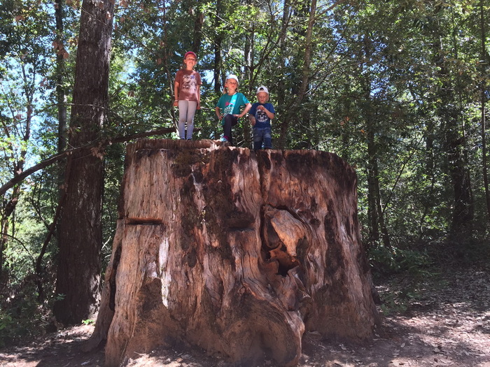 Little Basin State Park