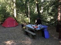 Portola Redwoods State Park