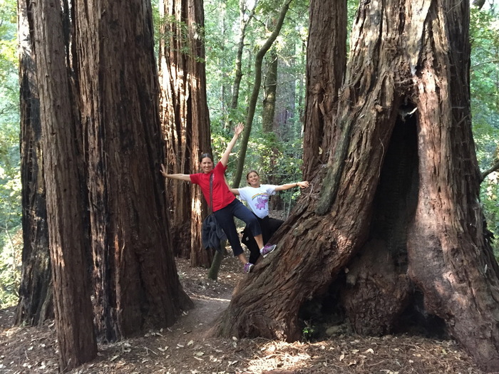 Portola Redwoods State Park