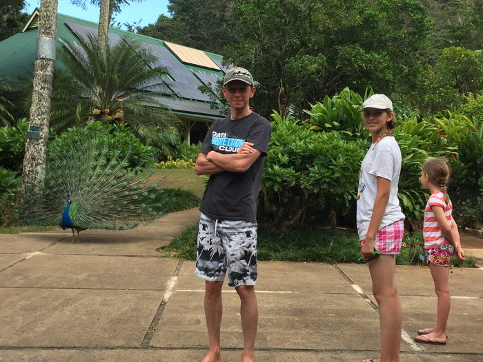 Waialua Valley Trail