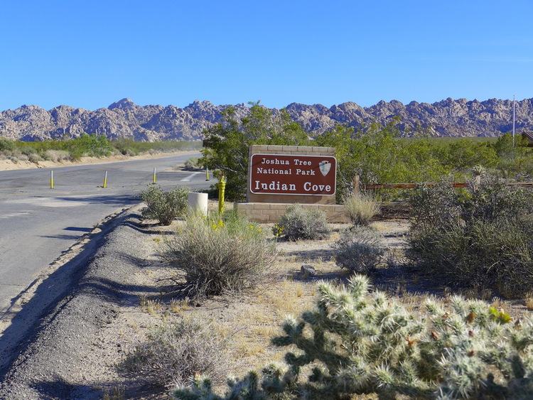 Joshua Tree - Indian Cove