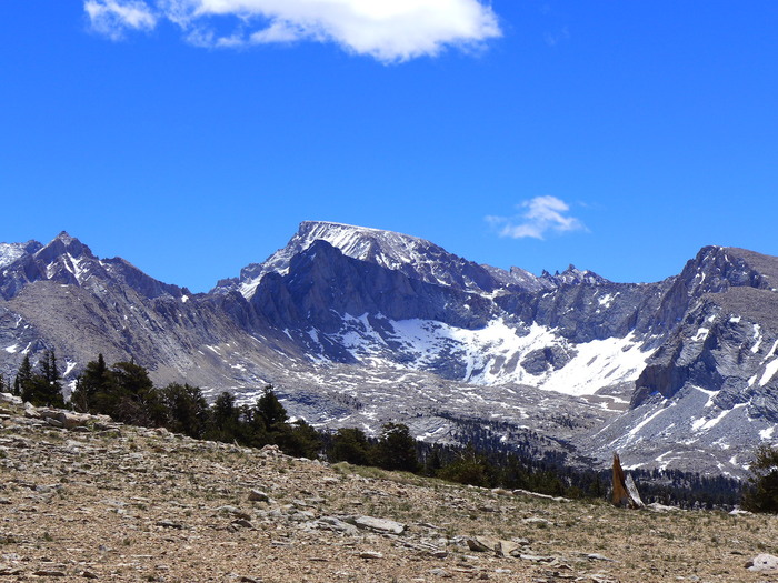 Mount Whitney from Bighorn Plateau