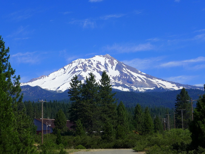 Mount Shasta