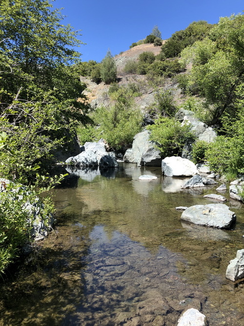 Mendocino camp